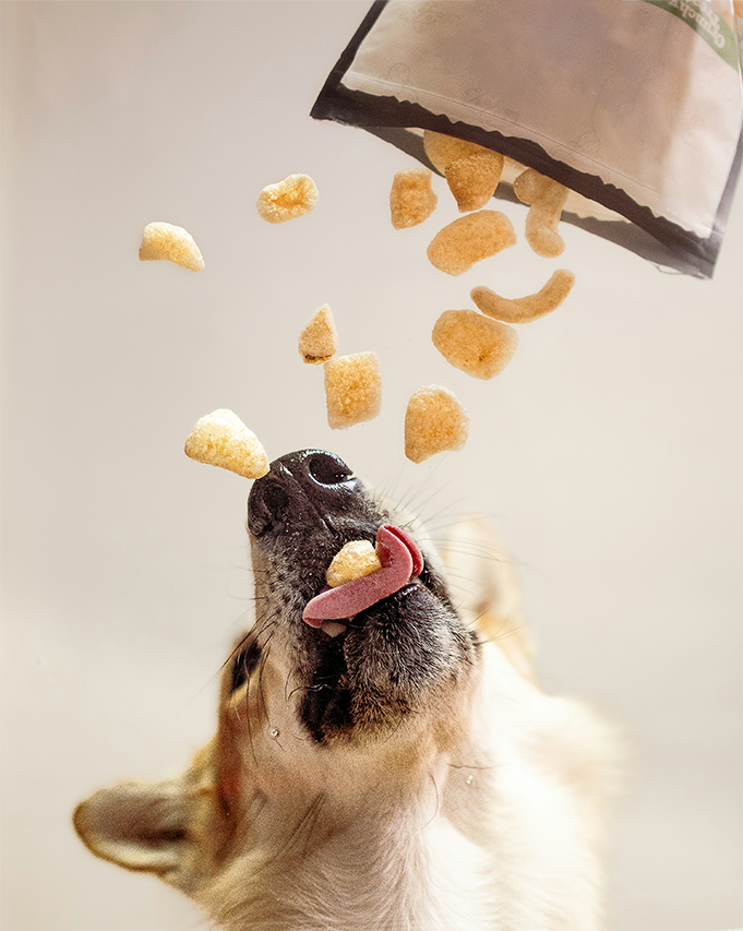 Gleefloat Crunchy Dog Treats — Natural Baked Biscuits for Dogs