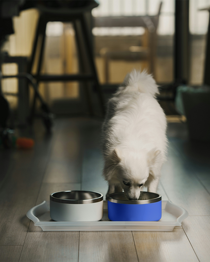 Dual Stainless Steel Pet Bowl Set with Non-Slip Tray